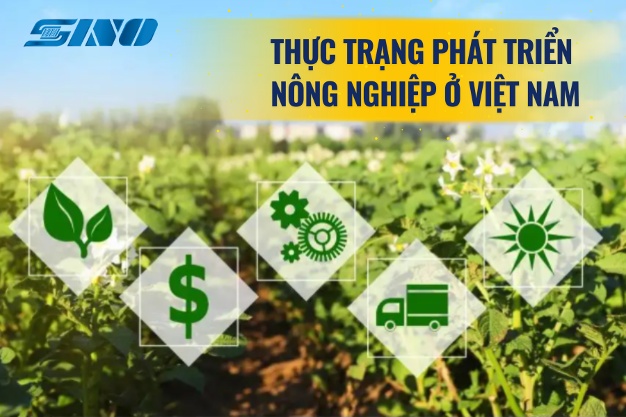 thực trạng phát triển nông nghiệp ở Việt Nam