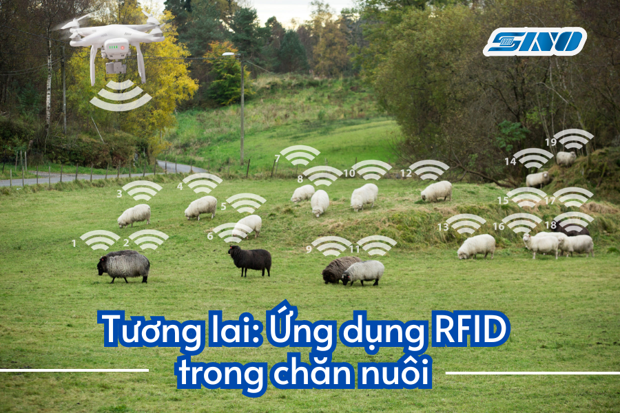 RFID trong chăn nuôi