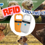 RFID thú cưng