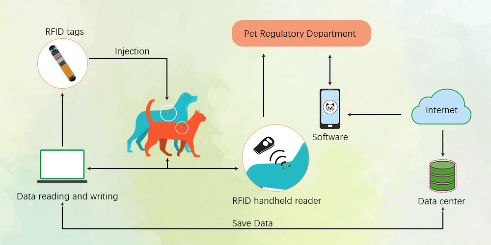 Theo dõi thú cưng qua hệ thống RFID