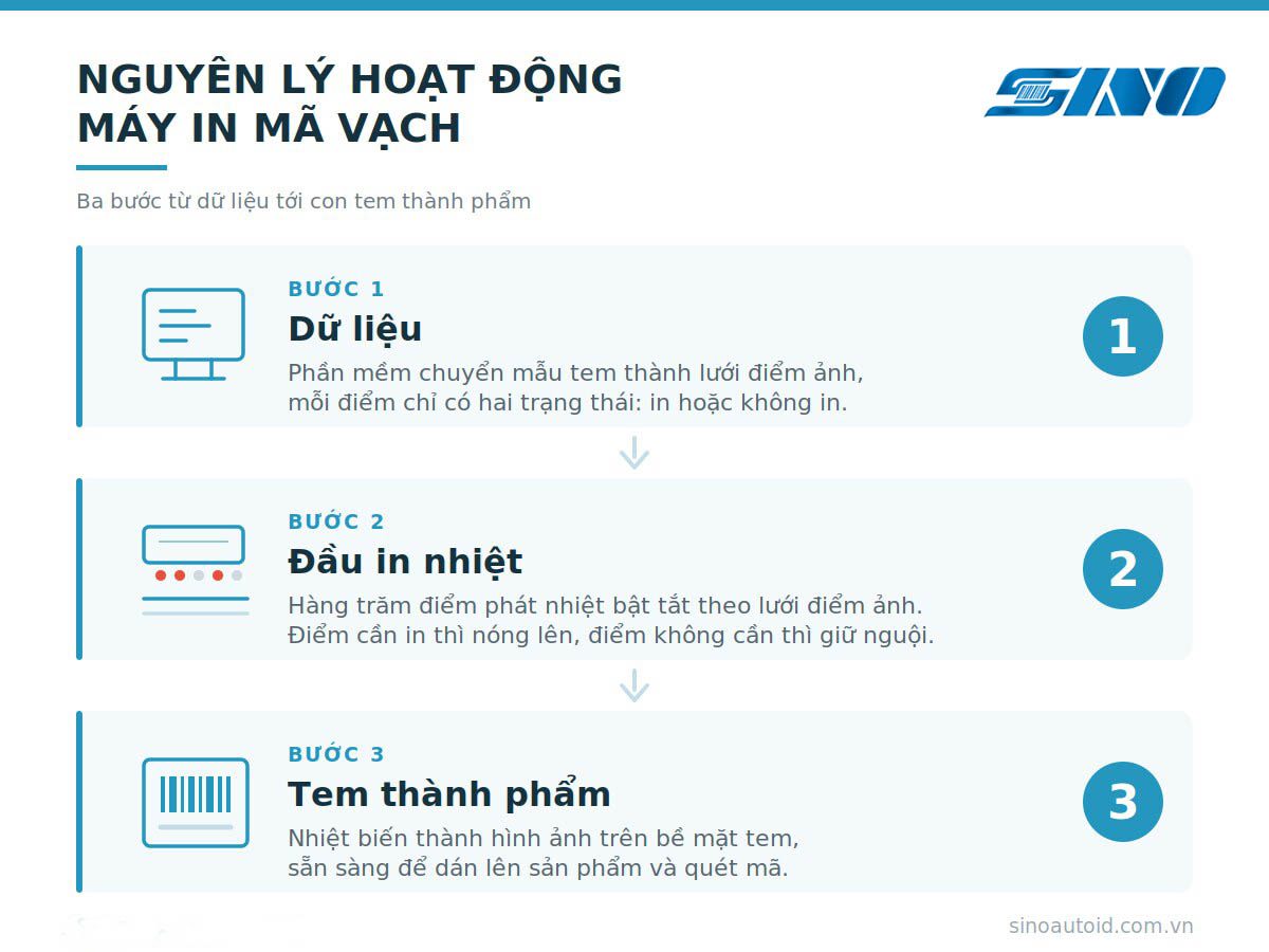 Sơ đồ nguyên lý hoạt động của máy in mã vạch qua ba bước